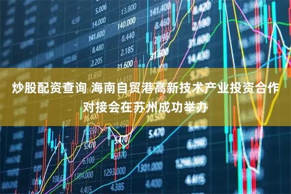 炒股配资查询 海南自贸港高新技术产业投资合作对接会在苏州成功举办