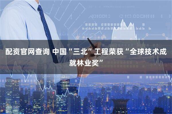 配资官网查询 中国“三北”工程荣获“全球技术成就林业奖”