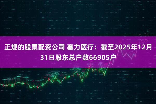 正规的股票配资公司 塞力医疗：截至2025年12月31日股东总户数66905户